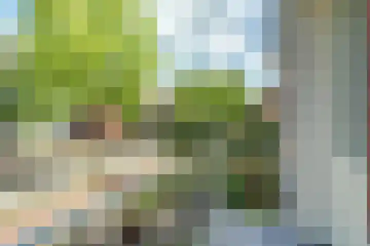 Rembrandtlaan 39 Rijen thumbnail 27