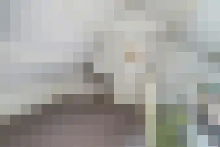 Rembrandtlaan 39 Rijen thumbnail 31