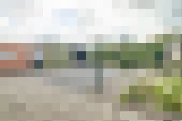 Rembrandtlaan 39 Rijen thumbnail 34