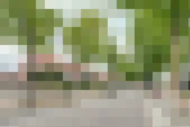 Rembrandtlaan 39 Rijen thumbnail 5