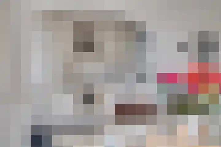 Rembrandtlaan 4 Voorschoten thumbnail 10