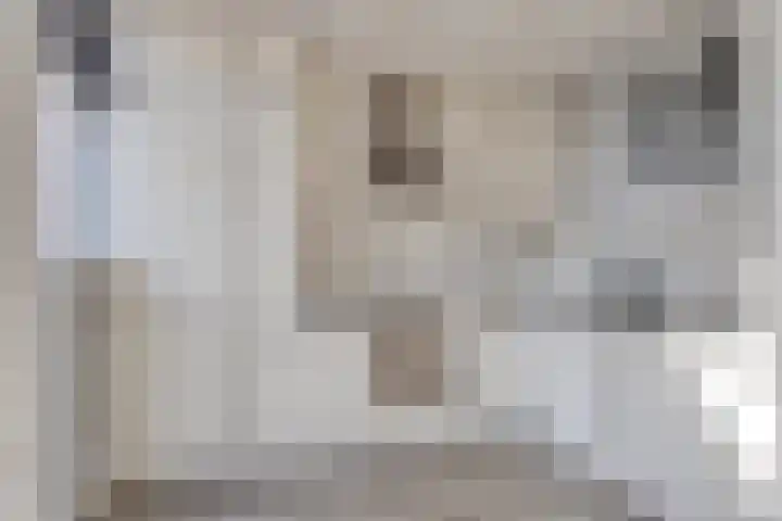 Rembrandtlaan 4 Voorschoten thumbnail 11