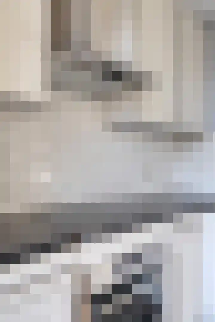 Rembrandtlaan 4 Voorschoten thumbnail 13