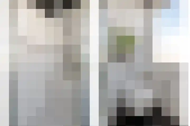 Rembrandtlaan 4 Voorschoten thumbnail 17