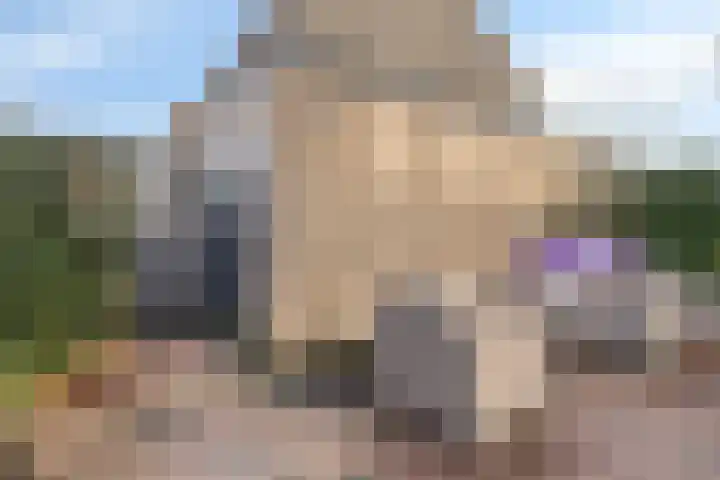Rembrandtlaan 4 Voorschoten thumbnail 20