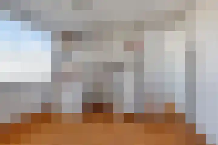 Rembrandtlaan 4 Voorschoten thumbnail 24