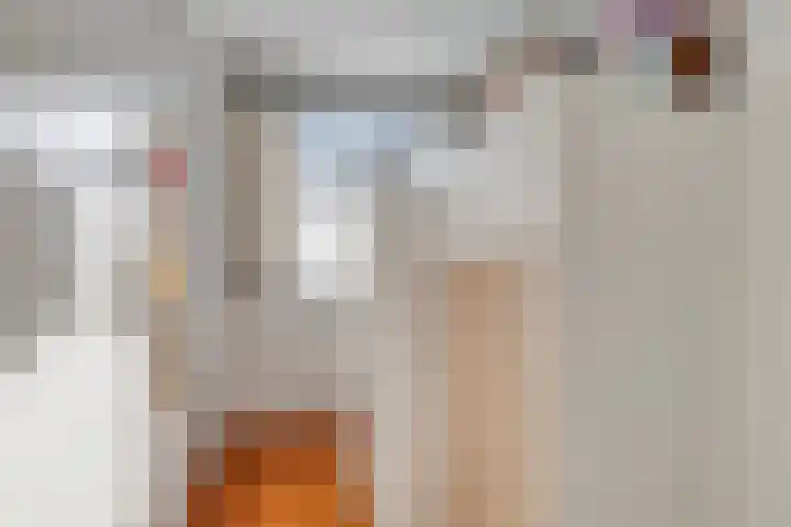Rembrandtlaan 4 Voorschoten thumbnail 26