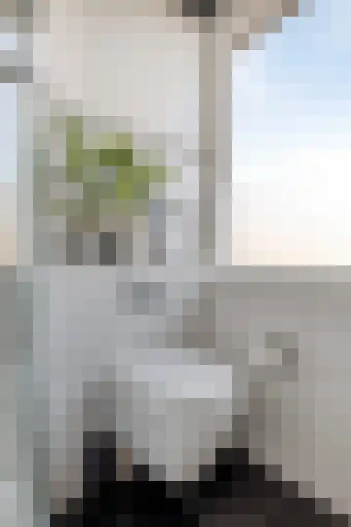Rembrandtlaan 4 Voorschoten thumbnail 29