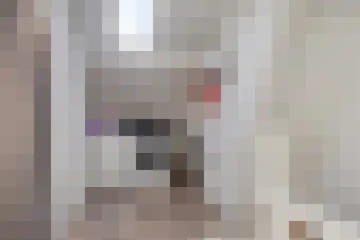 Rembrandtlaan 4 Voorschoten thumbnail 31