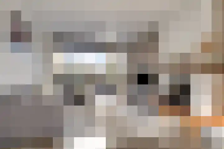 Rembrandtlaan 4 Voorschoten thumbnail 6