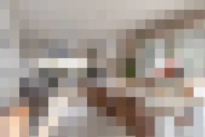 Rembrandtlaan 4 Voorschoten thumbnail 7
