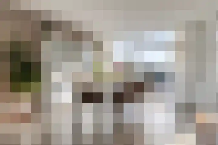 Rembrandtlaan 4 Voorschoten thumbnail 9