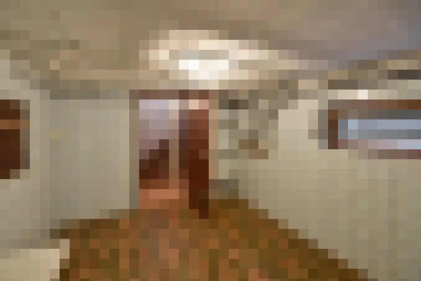 Rembrandtlaan 41 Huizen thumbnail 14