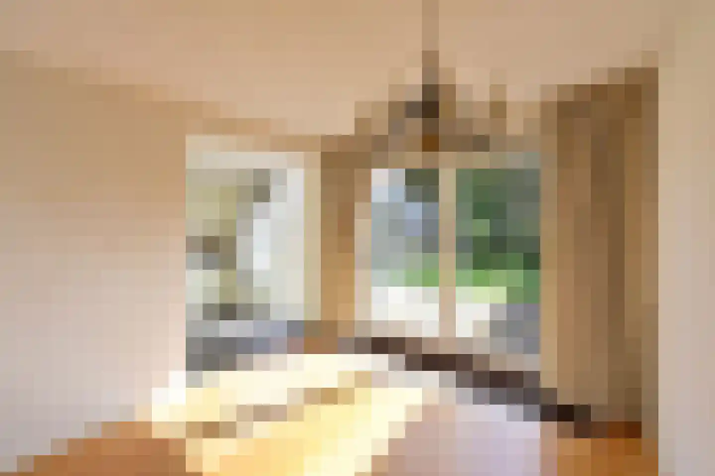 Rembrandtlaan 41 Huizen thumbnail 5