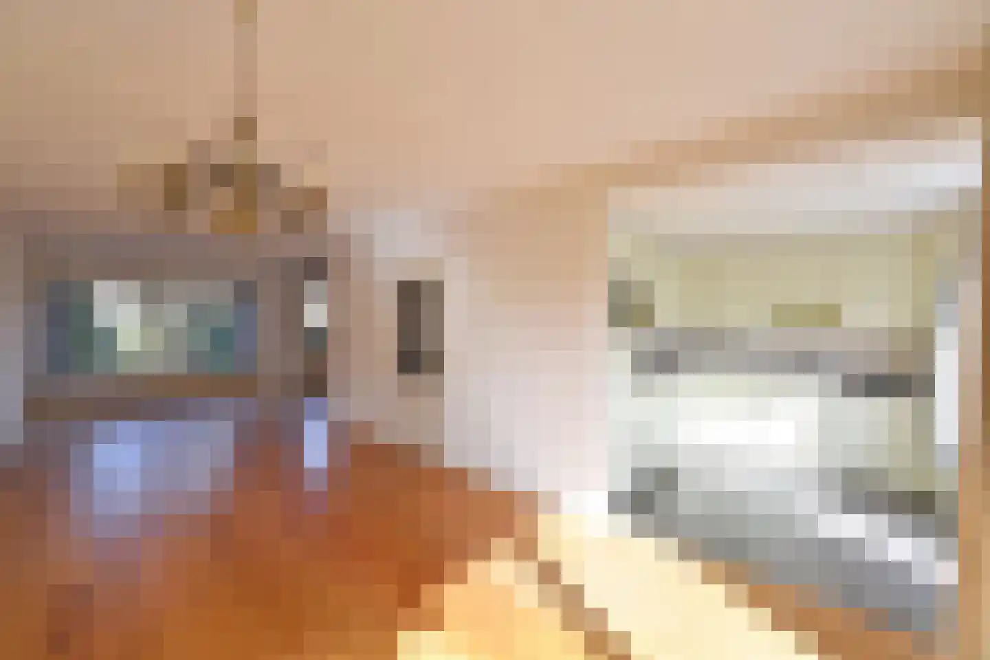 Rembrandtlaan 41 Huizen thumbnail 6