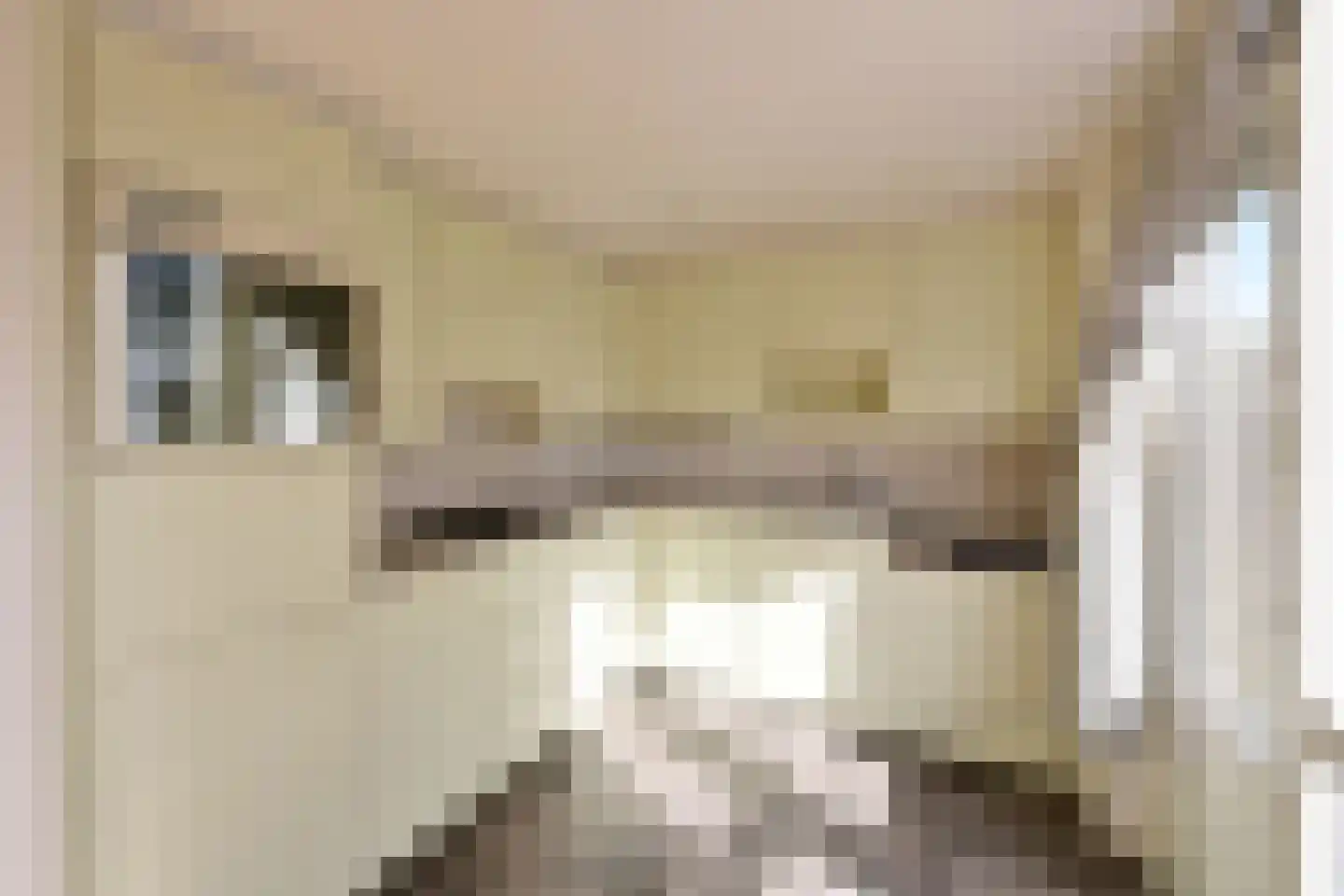 Rembrandtlaan 41 Huizen thumbnail 7