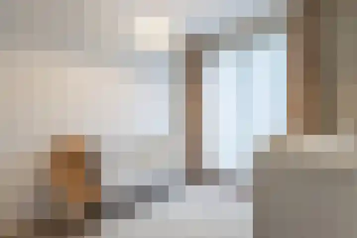 Rembrandtlaan 42 B Veghel thumbnail 21