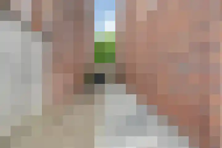 Rembrandtlaan 42 C Veghel thumbnail 30