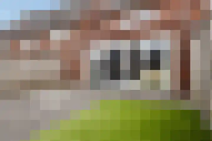 Rembrandtlaan 42 C Veghel thumbnail 31