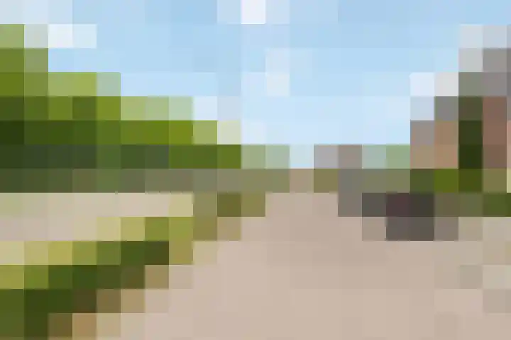 Rembrandtlaan 42 C Veghel thumbnail 33