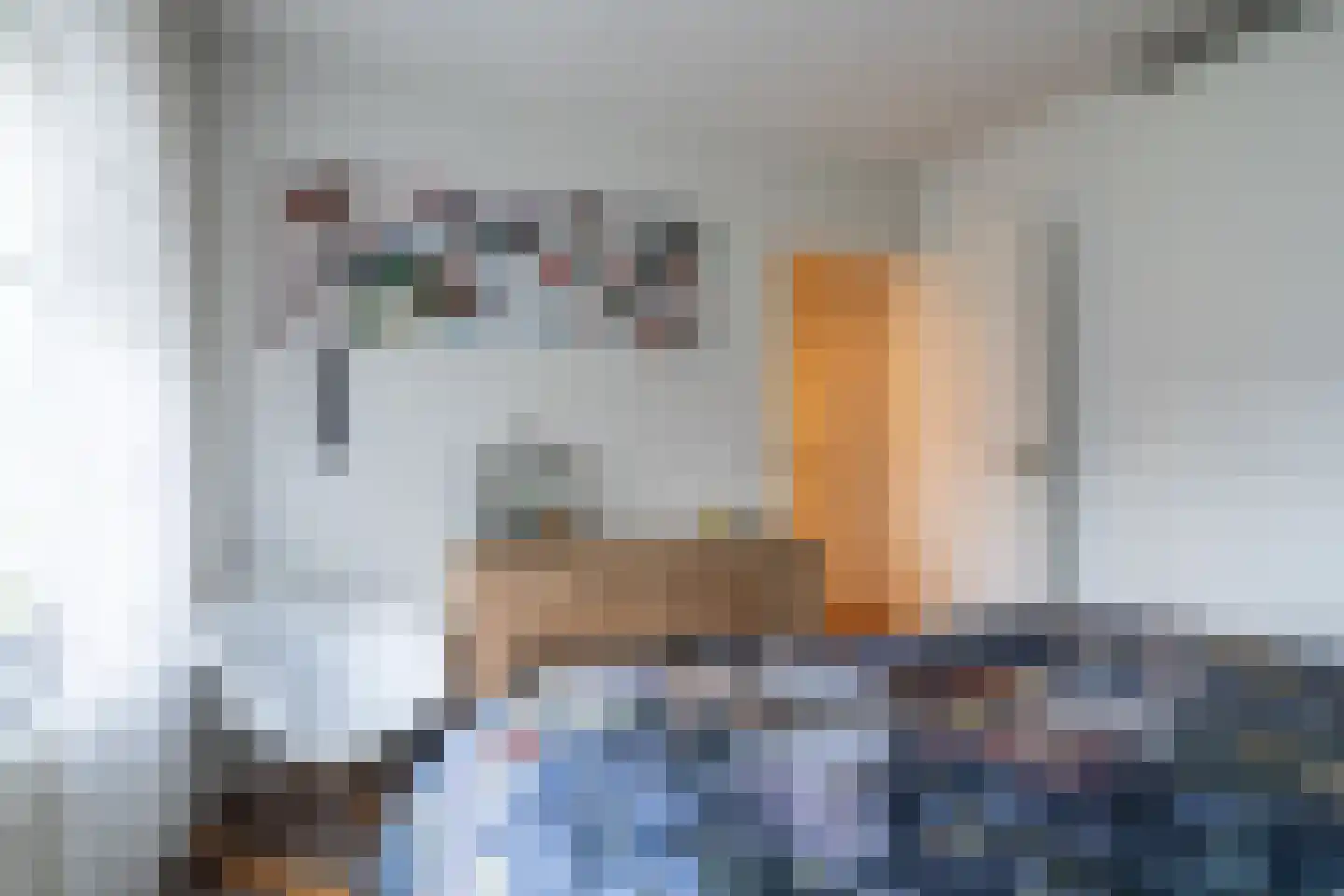 Rembrandtlaan 42 Sprang-Capelle thumbnail 25