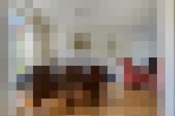 Rembrandtlaan 43 Middelharnis thumbnail 12