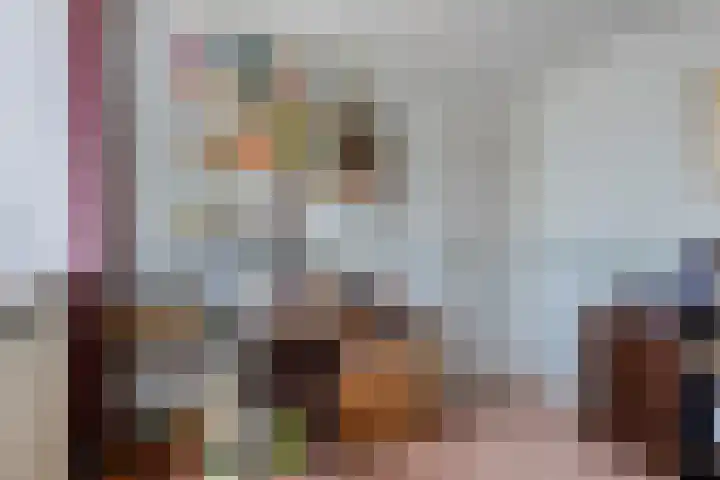 Rembrandtlaan 43 Middelharnis thumbnail 15