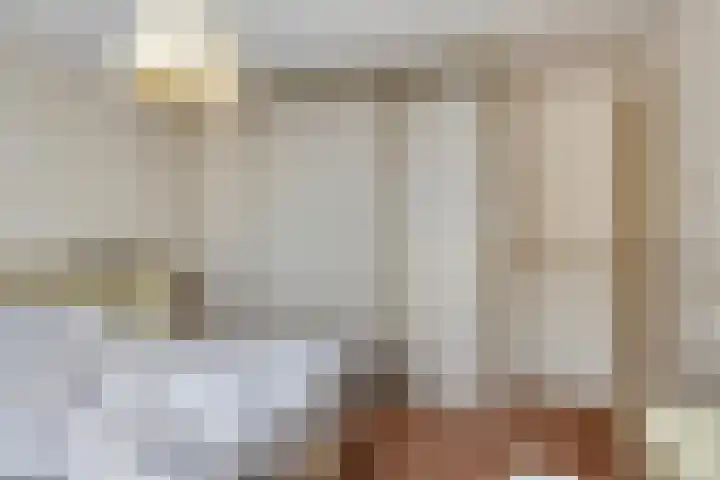 Rembrandtlaan 43 Middelharnis thumbnail 18