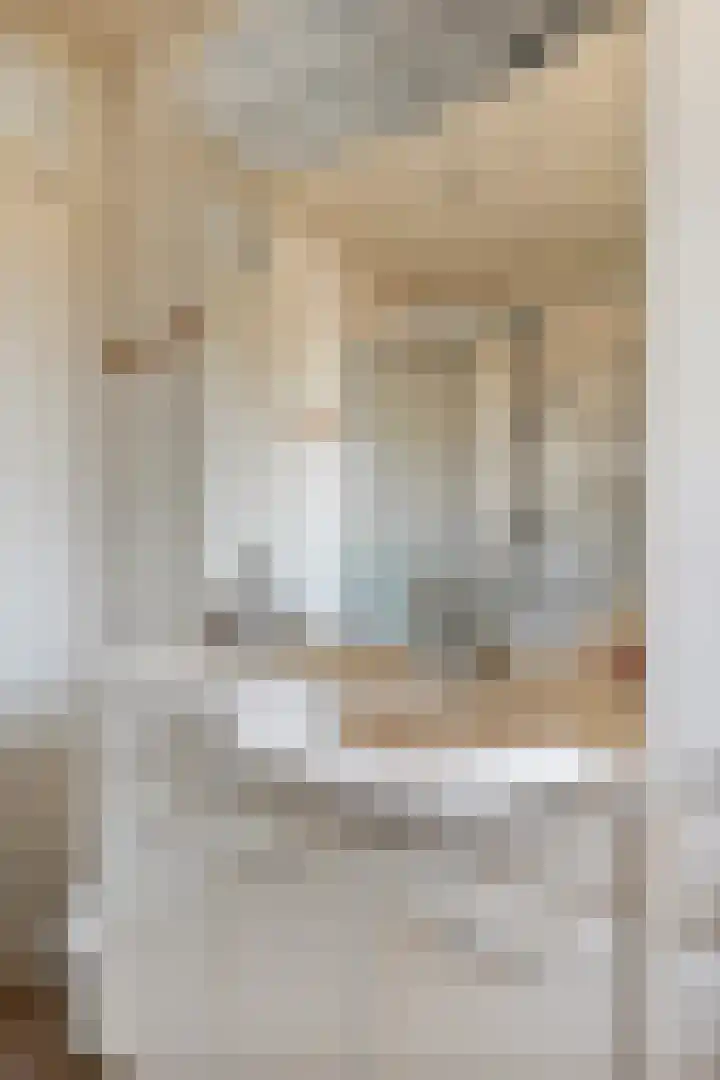 Rembrandtlaan 43 Middelharnis thumbnail 21