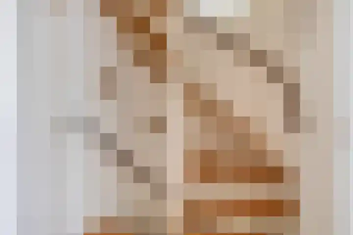 Rembrandtlaan 43 Middelharnis thumbnail 23
