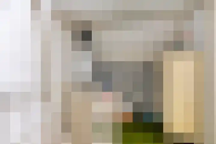 Rembrandtlaan 43 Middelharnis thumbnail 24