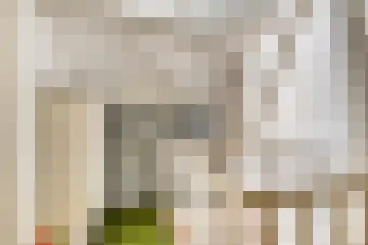 Rembrandtlaan 43 Middelharnis thumbnail 25