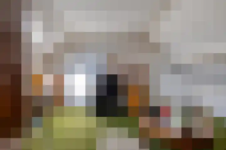 Rembrandtlaan 43 Middelharnis thumbnail 26