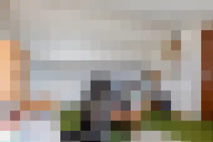Rembrandtlaan 43 Middelharnis thumbnail 27