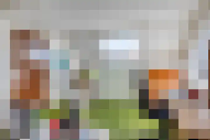 Rembrandtlaan 43 Middelharnis thumbnail 28