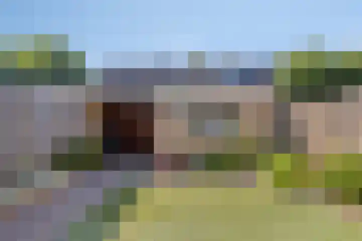 Rembrandtlaan 43 Middelharnis thumbnail 29