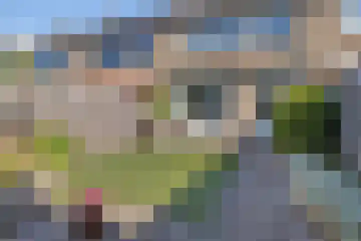 Rembrandtlaan 43 Middelharnis thumbnail 31