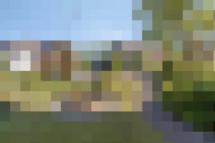 Rembrandtlaan 43 Middelharnis thumbnail 33