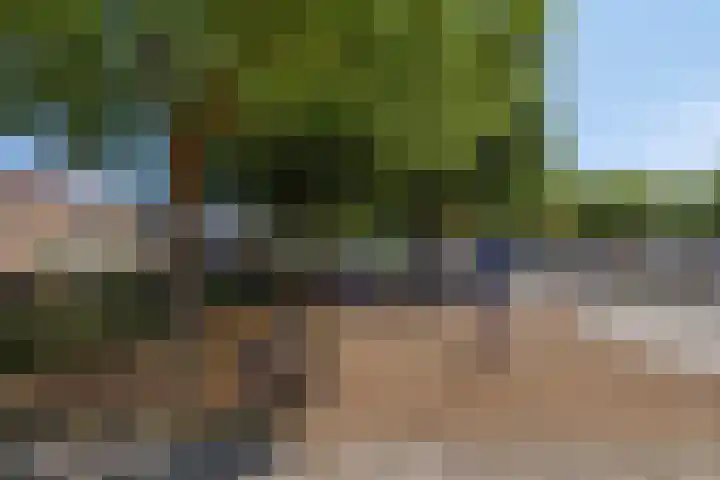 Rembrandtlaan 43 Middelharnis thumbnail 36