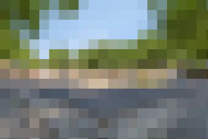 Rembrandtlaan 43 Middelharnis thumbnail 37