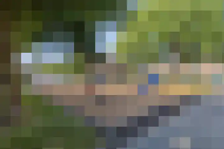 Rembrandtlaan 43 Middelharnis thumbnail 38