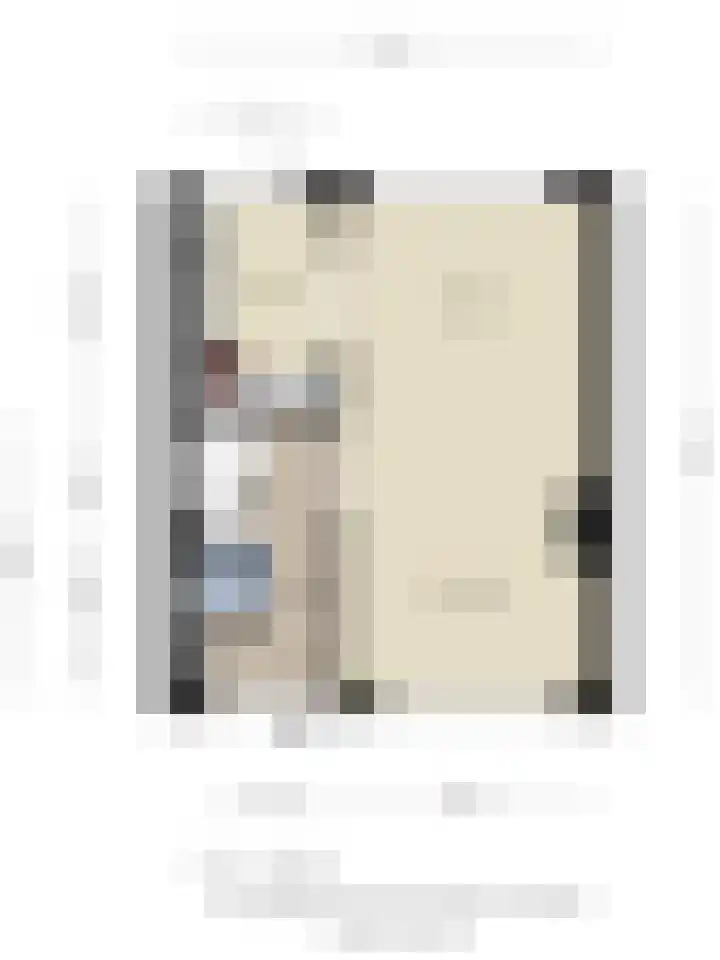 Rembrandtlaan 43 Middelharnis thumbnail 39
