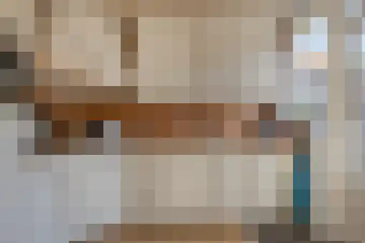 Rembrandtlaan 43 Middelharnis thumbnail 4
