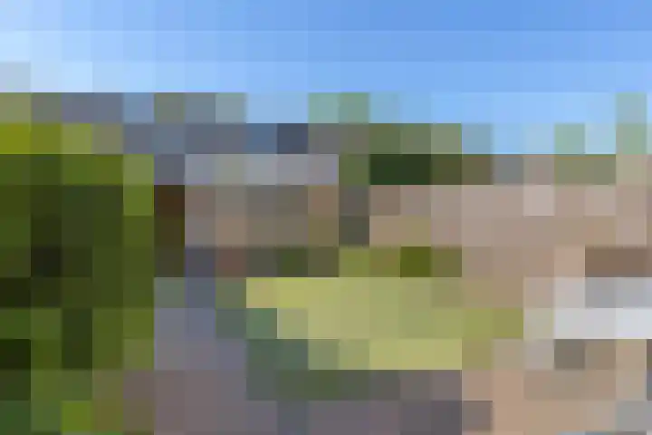 Rembrandtlaan 43 Middelharnis thumbnail 5