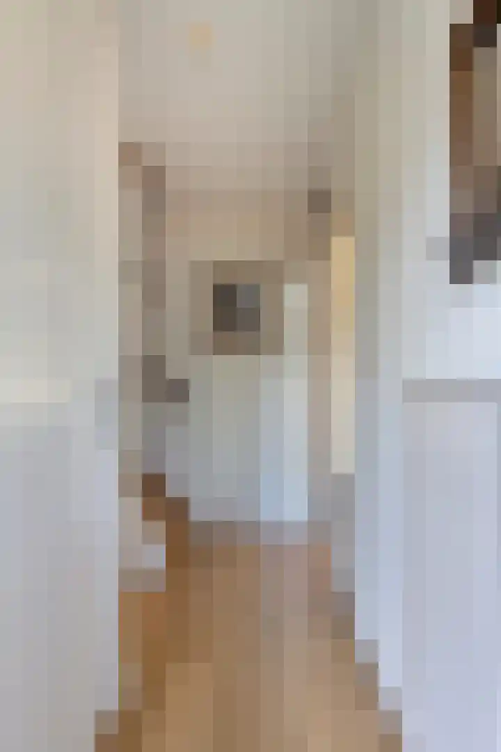 Rembrandtlaan 43 Middelharnis thumbnail 6