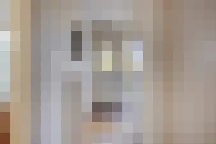 Rembrandtlaan 43 Middelharnis thumbnail 7