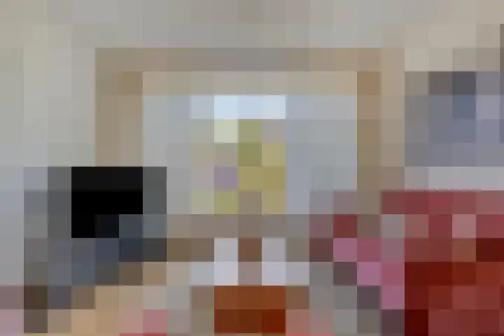Rembrandtlaan 43 Middelharnis thumbnail 9