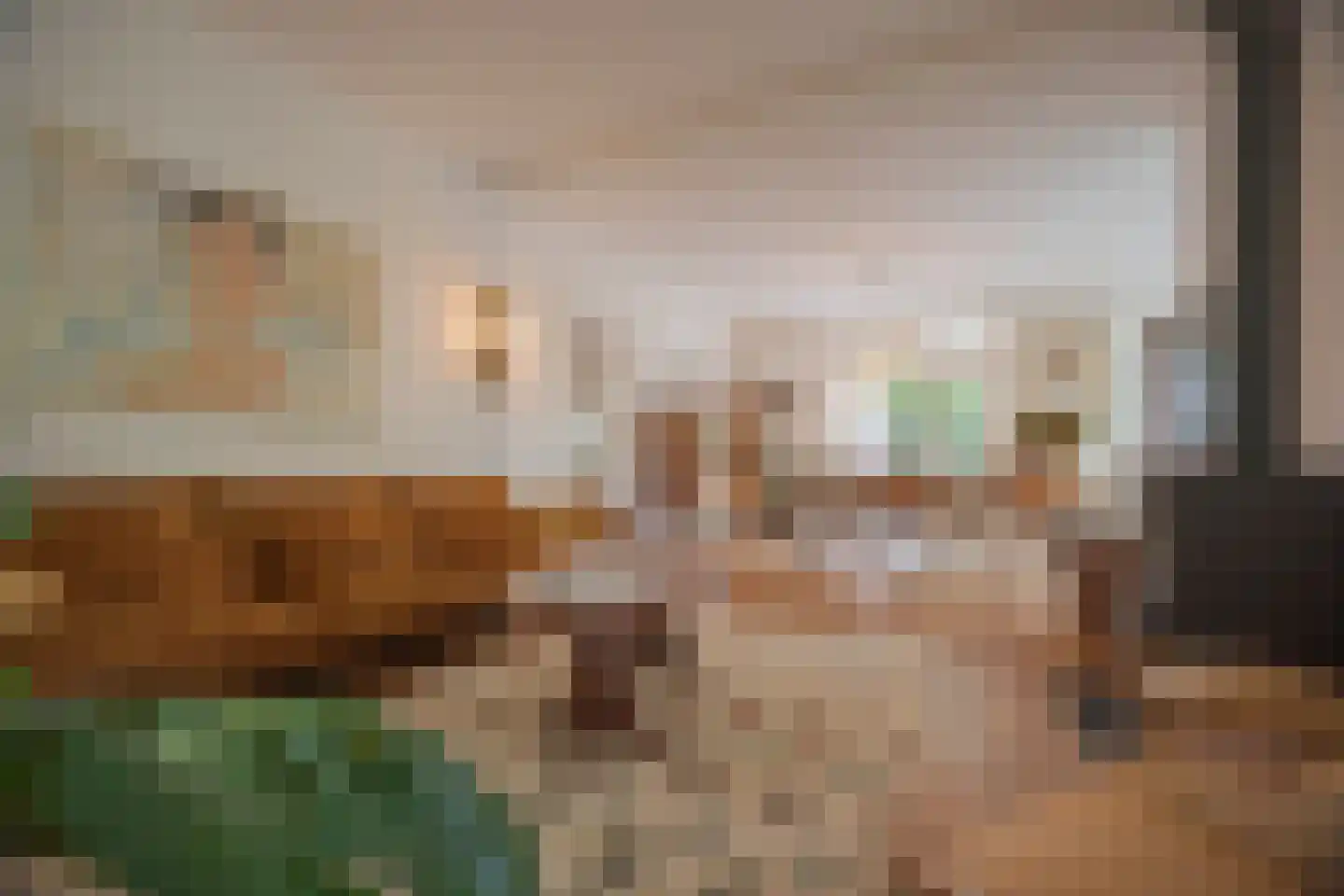 Rembrandtlaan 43 Velp thumbnail 11