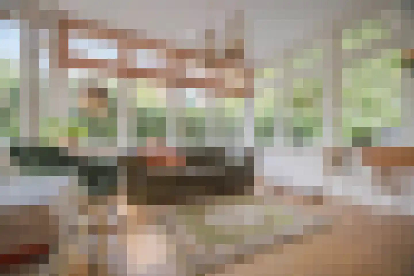 Rembrandtlaan 43 Velp thumbnail 16