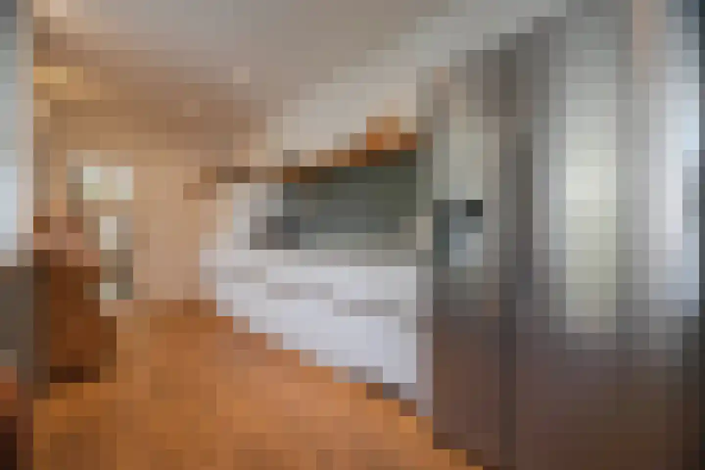 Rembrandtlaan 43 Velp thumbnail 21